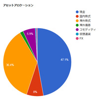 個人的なポートフォリオ（2024年11月21日時点）